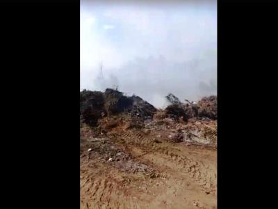 В Балаково работники кладбища едва не устроили крупный пожар