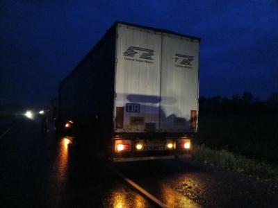 Под Озерками грузовик сбил мужчину