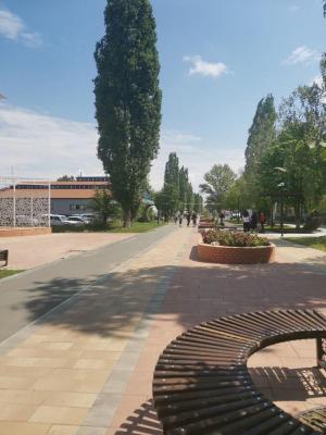 В Ершове реконструируют парк имени Пушкина