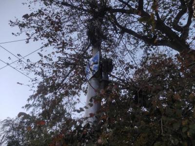 Опасные деревья в центре Саратова угрожают прохожим и автомобилистам