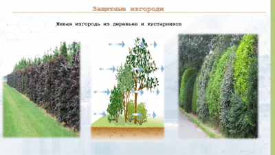 Столыпинский индустриальный парк отделят от остальной территории живой изгородью