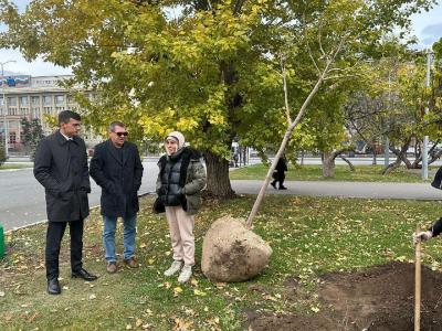 В Саратове деревья сажали в позе 