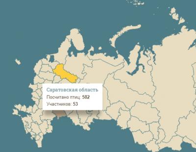 Всероссийская перепись воробьев: в Саратовской области подсчитали более 500 птиц