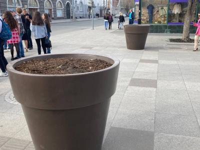Круговорот горшков в природе: на главной улице Саратова поставили уже восемь вазонов