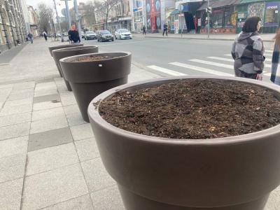 Круговорот горшков в природе: на главной улице Саратова поставили уже восемь вазонов