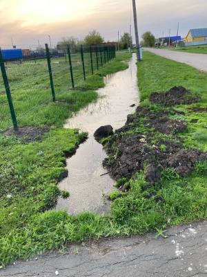 Село под Балаково тонет. Жители во всем винят благоустройство Парка Победы