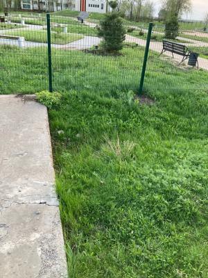 Село под Балаково тонет. Жители во всем винят благоустройство Парка Победы