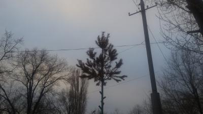 Саратовцев предупреждают о заморозках до -2 градусов