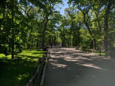 Фотогалерея 