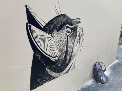 В центре Саратова на доме рисуют новый мурал с котом В центре Саратова на доме рисуют новый мурал с котом