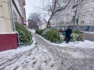 В Саратове нашли незаконные ёлочные базары