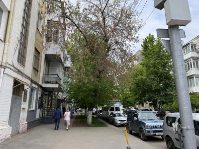 В Саратове на Сакко и Ванцетти спилят 16 деревьев