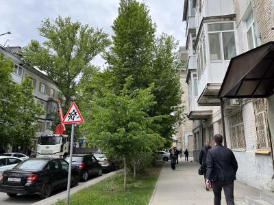 В Саратове на Сакко и Ванцетти спилят 16 деревьев
