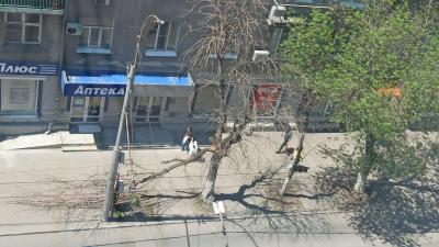 В Саратове на Горького только что рухнуло дерево В Саратове на Горького только что рухнуло дерево