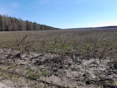 В Балашовском районе 38 га заросших земель снова ввели в сельхозоборот