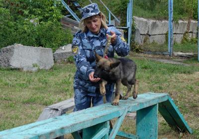 Девять щенков из питомника служебного собаководства УФСИН России по Саратовской области уехали служить в Дагестан