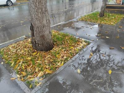 Гидрометцентр прогнозирует дожди в Саратовской области