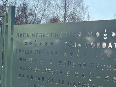 В Ботаническом саду в Саратове шум от автотранспорта отсекут с помощью деревьев и кустарников