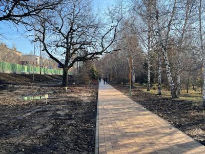 В Ботаническом саду в Саратове шум от автотранспорта отсекут с помощью деревьев и кустарников