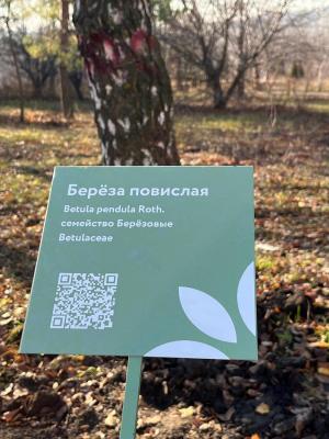 В Ботаническом саду в Саратове шум от автотранспорта отсекут с помощью деревьев и кустарников