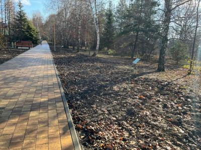 В Ботаническом саду в Саратове шум от автотранспорта отсекут с помощью деревьев и кустарников