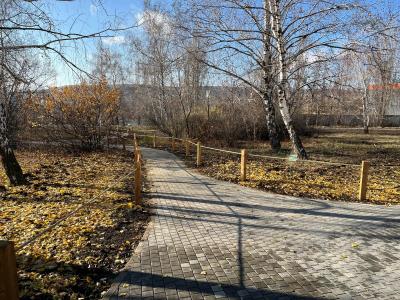 В Ботаническом саду в Саратове шум от автотранспорта отсекут с помощью деревьев и кустарников