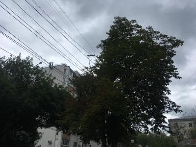 Саратовцев ждет пасмурный понедельник с небольшим дождем