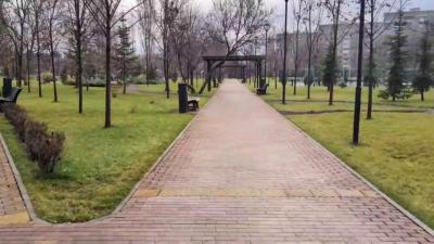 В Саратове унифицируют скверы и парки