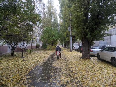 В Саратове 26 ноября будет 0 градусов и солнце