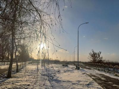 С середины недели в Саратовской области значительно потеплеет