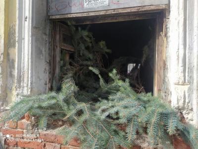 В горевшем особняке на Мичурина в Саратове обнаружили склад елок