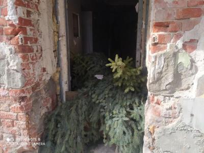 В горевшем особняке на Мичурина в Саратове обнаружили склад елок