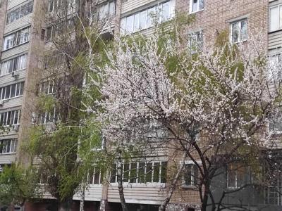 3 мая в Саратовской области потеплеет