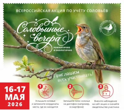 Саратовцев зовут считать соловьев