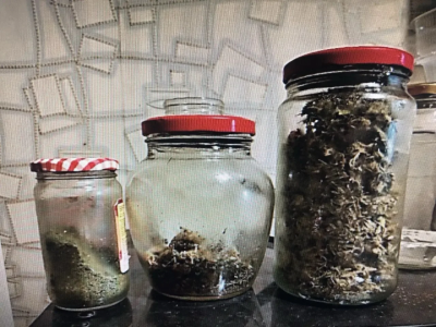 У жителя Энгельса изъяли крупную партию марихуаны