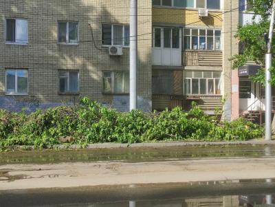 В центре Саратова выросла свалка в человеческий рост из спиленных деревьев
