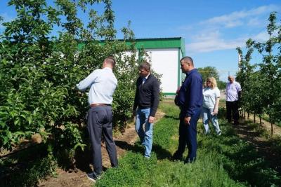 В Марксовском районе построят 