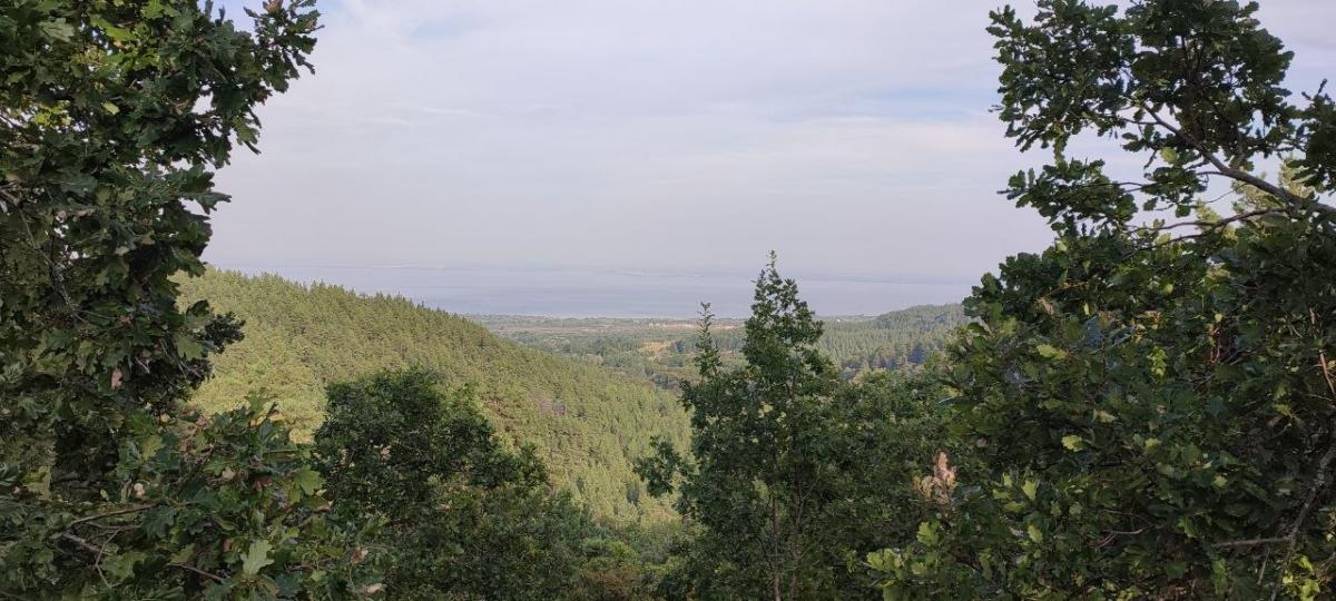 Всплывающая подсказка