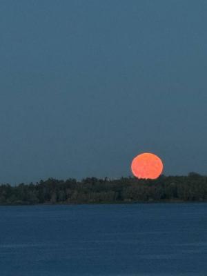 Саратовцы сфотографировали на набережной 