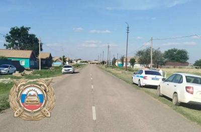 В Новоузенском районе сбили 8-летнюю девочку