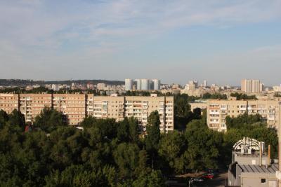 В Саратове высадили 376 деревьев и почти 4 тысячи кустарников