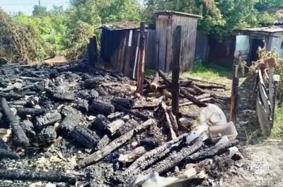 В Хвалынском районе на пожаре сгорели 17 кур