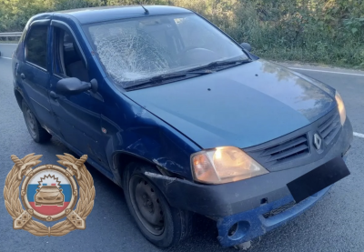 В Саратовской области за сутки в ДТП пострадали трое пешеходов 