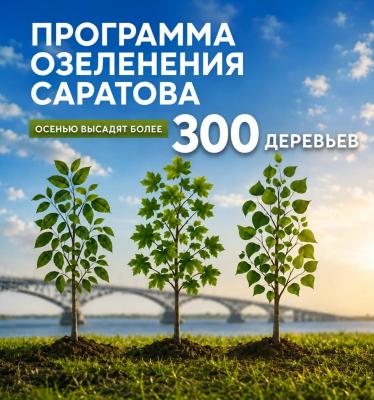 Осенью в Саратове высадят 300 деревьев