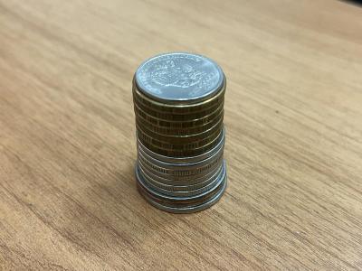 В Саратовской области НКО получат 76 миллионов рублей на психологическую помощь бойцам СВО, обучение молодежи работе с БПЛА и игры в страйкбол