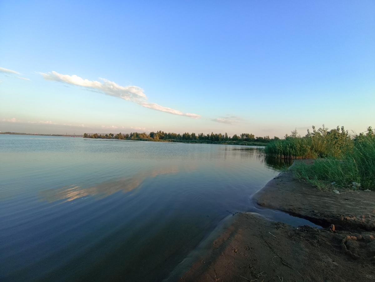 Всплывающая подсказка