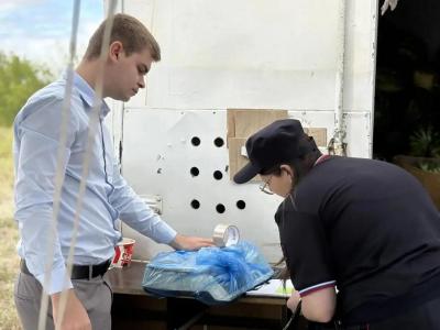 В Саратове у нелегальных продавцов арбузов, колбас и молочной продукции изъяли весы