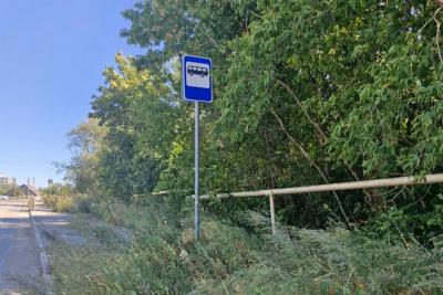 В Саратове микрорайон Зеленая Горка зарос травой в человеческий рост