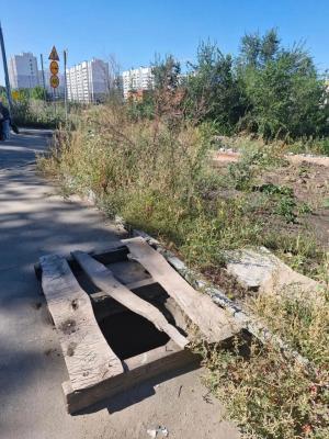 В Саратове микрорайон Зеленая Горка зарос травой в человеческий рост