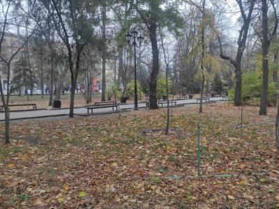 Осень в Саратовской области начнется с потепления
